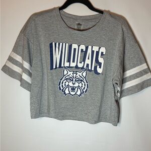 Gray Wildcats Crop Top